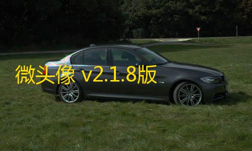 三角洲外挂辅助微头像 v2.1.8版本iAPP源码